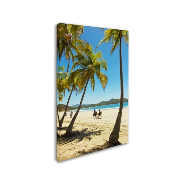 Robert Harding Picture Library 'Palm Trees 5' Canvas Art,16x24